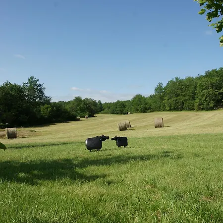 Les D'auriac Hébergement de vacances *